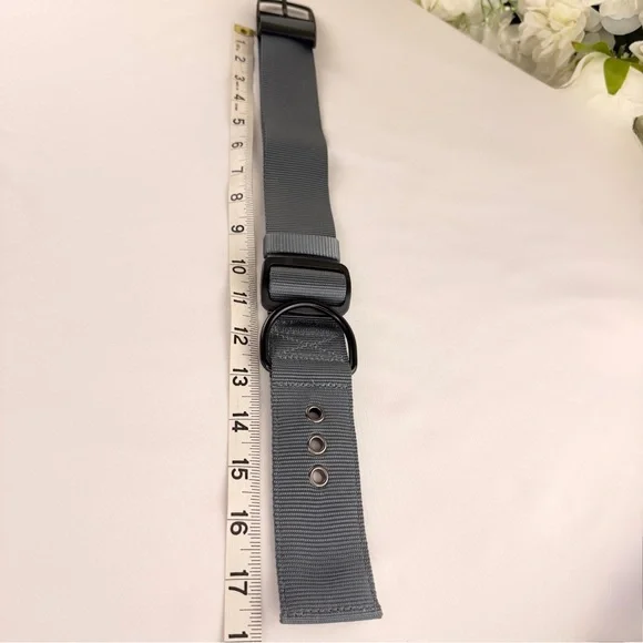 🐾 Durable Gray Adjustable Dog Collar – Heavy-Duty Nylon w/ Black Hardware - Picture 7 of 8